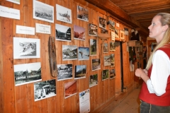 DSC_0454 (800x532)