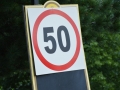 DSC_0002 (800x532)