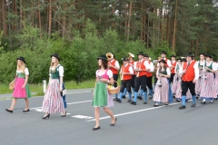 DSC_0138 (800x533)