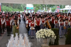 DSC_0172 (800x463)
