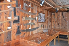 DSC_0457 (800x532)