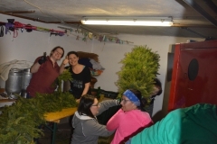 DSC_0049 (532x800)