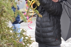 DSC_0080 (532x800)