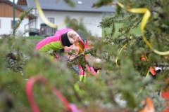 DSC_0088 (800x532)