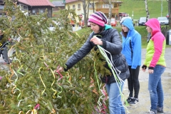 DSC_0094 (800x532)