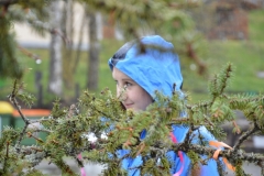 DSC_0096 (800x532)