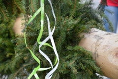 DSC_0107 (800x532)