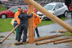 DSC_0117 (800x532)