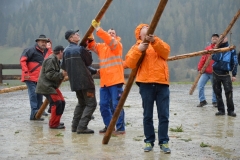 DSC_0124 (800x532)