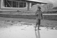 DSC_0127 (800x532)