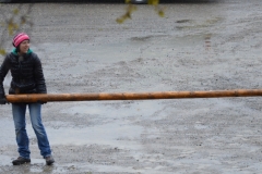 DSC_0154 (800x478)
