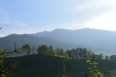 DSC_0122 (800x532)