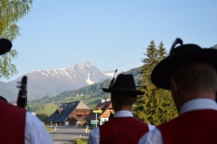 DSC_0125 (800x532)