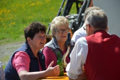 DSC_0354 (800x532)