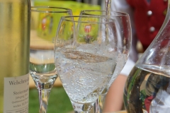 DSC_0495 (554x800)