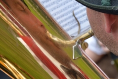 DSC_0509 (578x800)