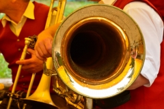 DSC_0585 (800x578)