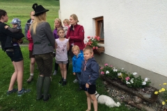 Ulrich (3)