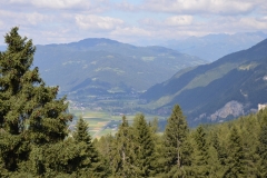 DSC_0086 (800x532)