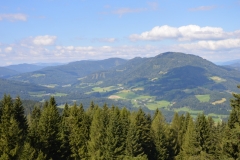 DSC_0087 (800x532)