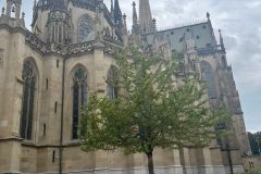 IMG-20231012-WA0079