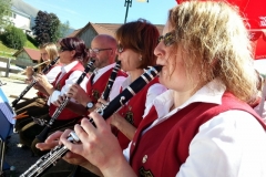 Dorffest 2015 (13) (640x480)