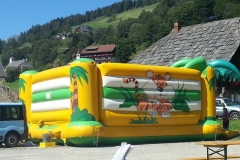 Dorffest 2015 (17) (640x480)