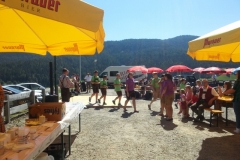 Dorffest 2015 (19) (640x480)
