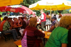 Dorffest 2015 (28) (640x480)