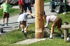 Dorffest 2015 (40) (480x640)