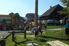 Dorffest 2015 (42) (480x640)