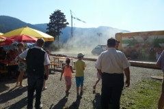 Dorffest 2015 (43) (640x480)