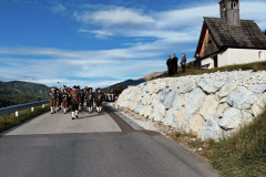 6fd3abef-172b-4dda-a950-bfb7749cfbe2