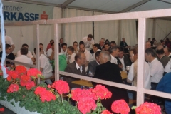 Friesach (40) (800x600).jpg