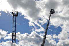 DSC_0099 (800x532)
