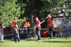 DSC_0160 (800x532)