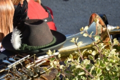 DSC_0184 (800x509)