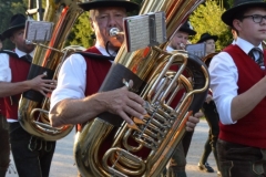 DSC_0205 (528x800)