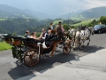 DSC_0879 (800x533)