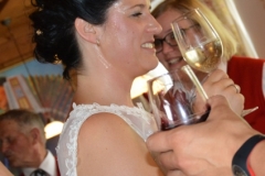 LN Hochzeit (140) (425x640)