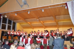 DSC_0205 (800x532)
