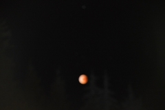 DSC_0229 (640x426)
