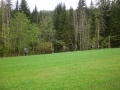 CIMG2714 (800x600).jpg