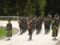 CIMG2768 (800x600).jpg