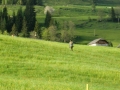 CIMG2861 (800x600).jpg